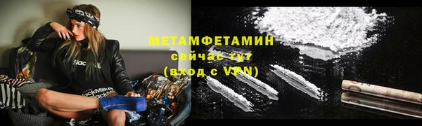 ГАЛЛЮЦИНОГЕННЫЕ ГРИБЫ Михайлов