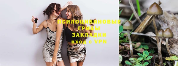 PSILOCYBIN Ахтубинск