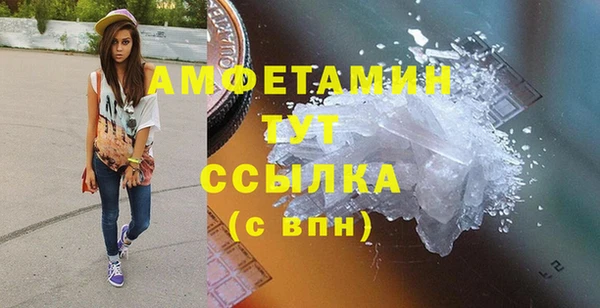 ГАЛЛЮЦИНОГЕННЫЕ ГРИБЫ Михайлов