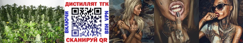 ТГК Wax Карабулак