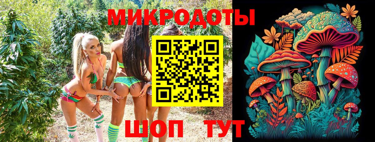 Карабулак  Псилоцибиновые грибы MAGIC MUSHROOMS  Вход с VPN 