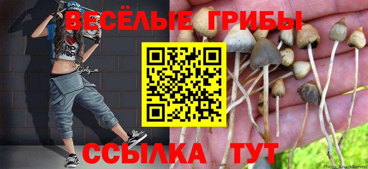 Псилоцибиновые грибы мицелий Карабулак