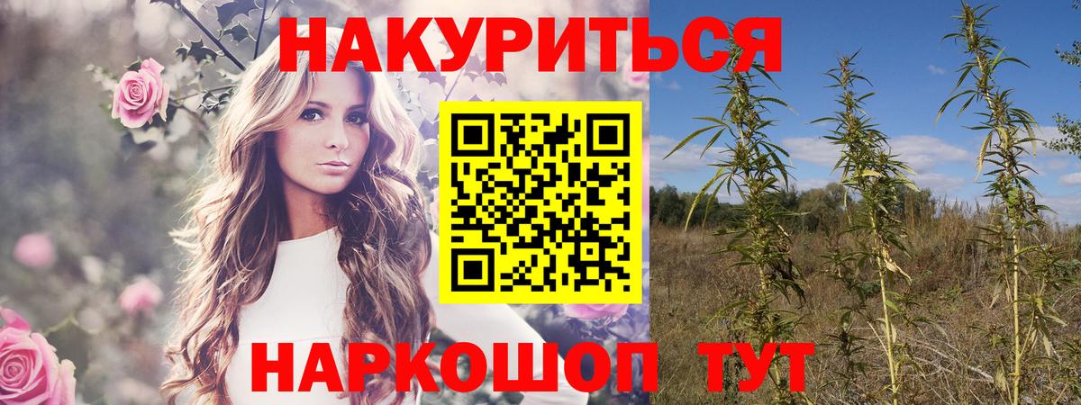 Шишки марихуана AK-47  Бошки марихуана гибрид  Карабулак 